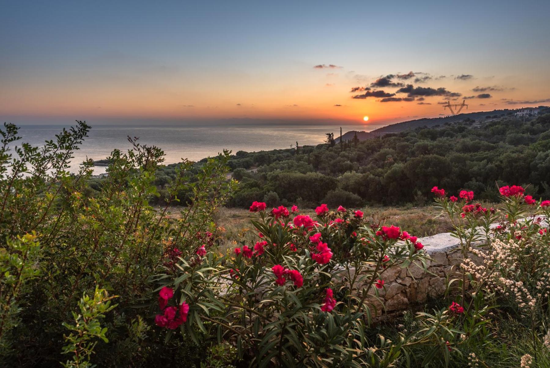 Yiameli Villas With Private Pool Skinária Dış mekan fotoğraf